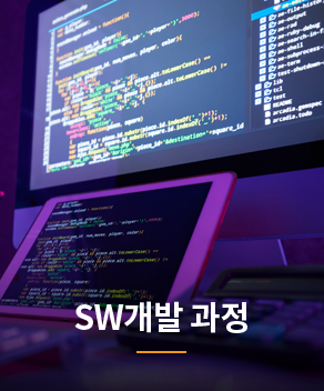 SW개발 과정